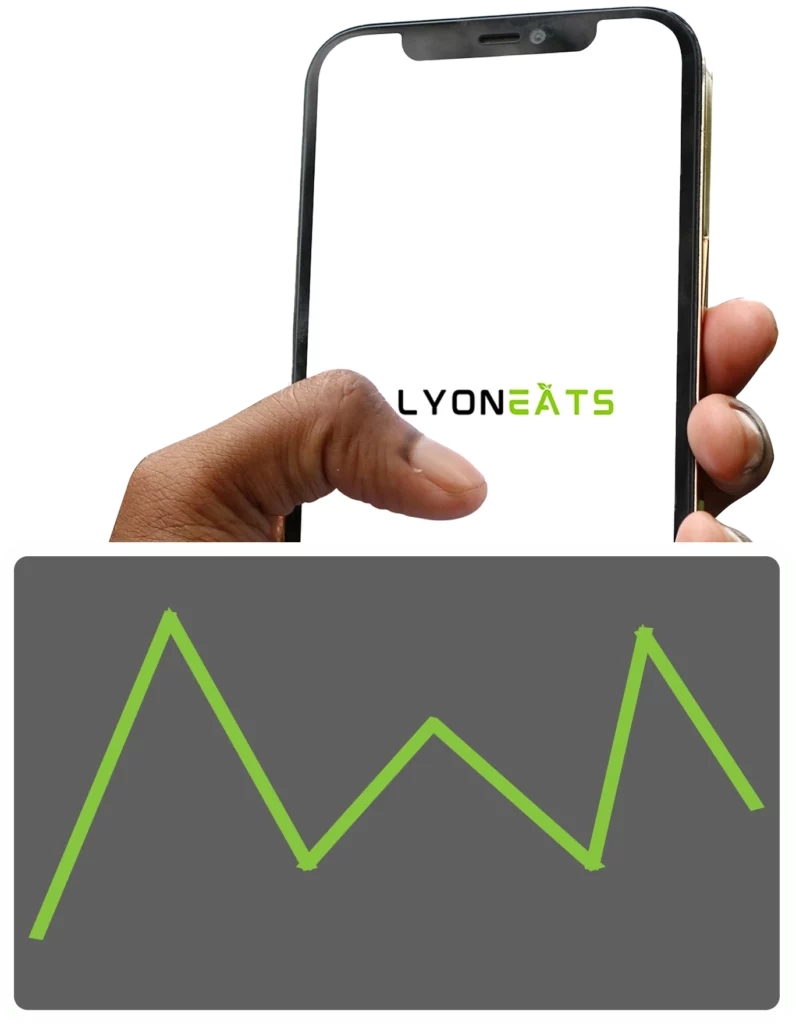 Application mobile de suivi statistique et analyse du chiffre d'affaires pour restaurant Lyon Eats